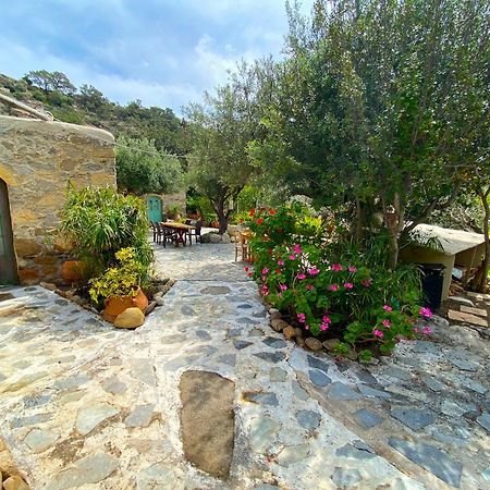 Natura Cottages Makrýgialos Eksteriør bilde